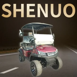 High Performance Golf Cart Stock Golf Cart Buss Luxury Golf Cart for Golf Course
