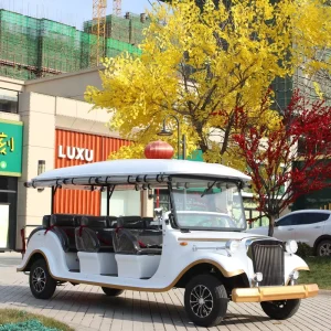 High Performance Golf Cart with 72V Battery Certified by EEC DOT for Chinese Off road Vehicles
