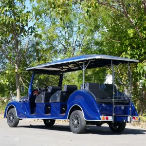 High Performance Low Speed Motor Golf Cart 11 Seat Electric Golf Cart