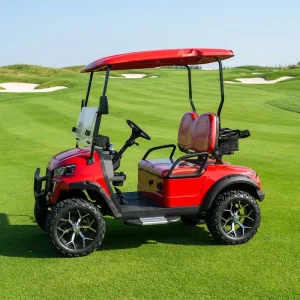 High Performance Luxury Electric 2 Seater Street Legal Golf Carts Adjustable Seats Lithium Battery 30 50Km h for Golf Course