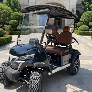 High Performance Off-Road Golf Cart with 2 Seats 72V GCC Electric Club Car for Sale