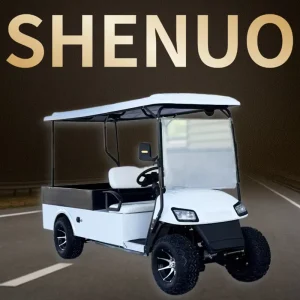 High Performance Yamaha Drive2 Golf Cart Electric Carlooking Luxury Golf Car for Hunting and Farm