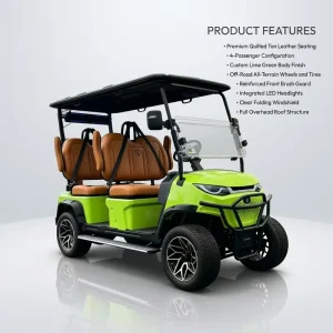 High Power 48V AC Motor Electric Golf Cart with Full Set Street Legal Lights