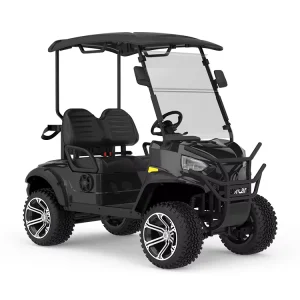 High Quality 2 Seater Small Utility Vehicle Golf Cart Heavy Duty Fast Electric Golf Cart Buggy Club Car