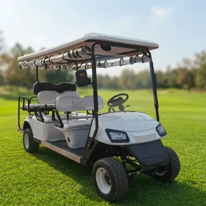 High Quality 4 Wheel Electric Golf Cart with High Strength Aluminum Alloy Frame 2 Year Warranty Customized Color for Sale