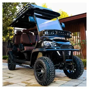 High Quality 48V 60V 72V Electric Golf Cart 2 4 6 Seater Off Road Golf Buggy