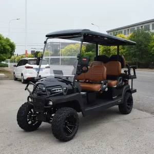 High Quality 6 seater Electric Golf Carts and Legally Operated Golf Carts on the Road