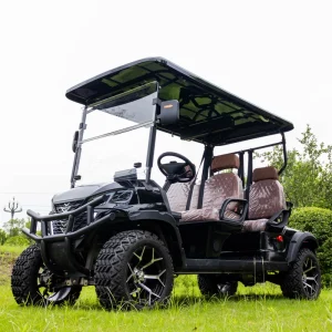 High Quality Carts 4 Seater Lithium 60V Golf Cart for Sale