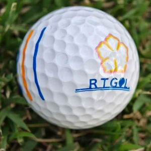 High Quality Custom Logo Two Piece Surlyn & PU Material Tournament Practice Golf Balls for Outdoor Use