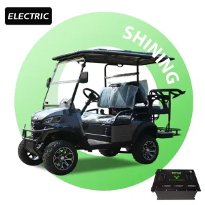 High Quality Electric Golf Cart for 4 48v Steel Battery 4 Seater with Big Wheels