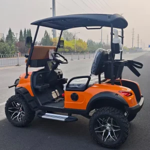 High Quality Electric Golf Cart with AC Motor and Lithium Battery 2 Passengers for Hotels and Airports CE Approved