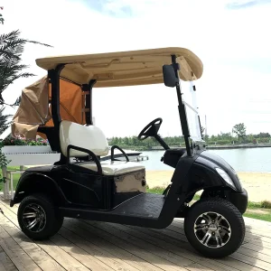 High Quality Golf Car Brand New 4 Wheel Electric Club Car Golf Cart for Sale 2 Seater Electronic Golf Carts