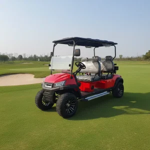 High Quality Golf Cart 4 Seater Electric Customized Golf Cart High Configured Street Legal for Playing Golf