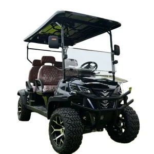 High Quality Mini Golf Car Two Seat Electric Golf Carts for Sale