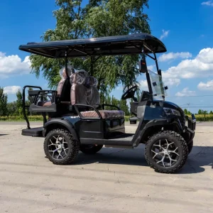 High Quality Mini Golf Cart 4 Seat Electric Golf Cart for Sale