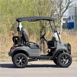 High Quality Mini Golf Course Mobility Cart