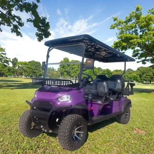 High Quality Off-road Club 48V Electric Golf Carts 4 Seater Golf Price Electric Carts for Adults