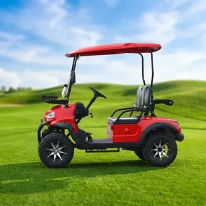 High Quality Smart Fast Charging 2 Seat Electric Golf Cart with 3.5-7.5kW Motor and Lithium Battery for Hotel & Golf Club Use