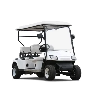 High Quality off Road Electric Cart and Golf Buggy for Sale