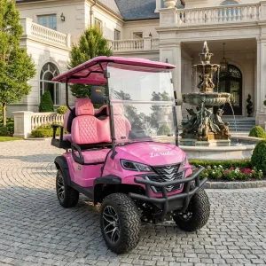 High Speed Battery Operated Pink Electric Golf Carts Sightseeing Car