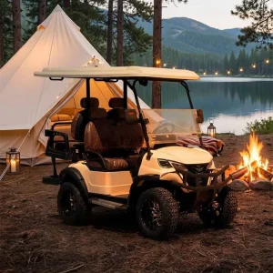 High Speed Long Endurance 72V 4 Seater Electric Golf Cart in USA