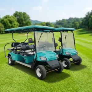 High Strength Aluminum Alloy Electric Golf Cart 2 4 6 Seater Comfortable with 2 Year Warranty for Golf Course Use