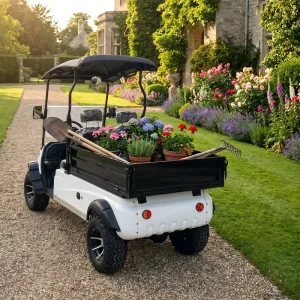 High Strength Chassis Golf carts with cargo boxes