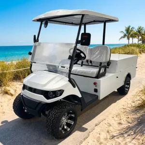 High Torque Climbing Capacity Reinforced Frame Dustproof Whole Car Country Club Utility Vehicle Golf Cart