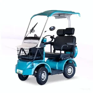 High performance 48V Two seater Electric Golf Cart Suitable for Long term Patrolling and Moving in Resorts or Hotels