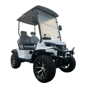 High quality 2 seater Golf Cart with Lead acid Battery Supports CarPlay 1 year Warranty and Fast Shipping
