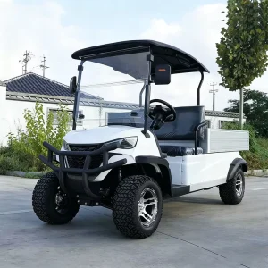 High quality Electric Patrol Car Golf Cart 4 seater with CE Certification