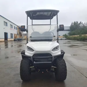 High quality Golf Carts Customizable Golf Carts