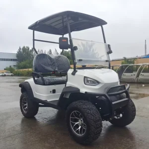 High quality Golf Carts Factory Direct Sale