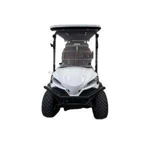 High quality Golf Carts for Sale