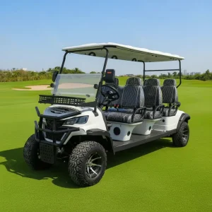 High quality Newly Upgraded Golf Carts 2 6 Seat Electric Golf Carts with Optional 48V 60V 72V Lithium lead acid Batteries