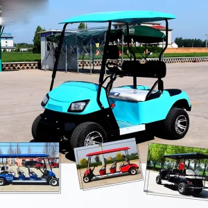 Hot Selling and 2 seater Golf Cart Can Be Customized Compact Single Rider Blue Personal Transportation Vehicle