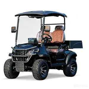 Hot selling Prindream Basket Style 2 Person Electric Golf Cart New Arrival Offroad Vehicle CE Certified 30 50Km h 70 90km Range