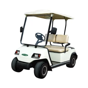 Import 2 Seats Enclosed Golf Cart From China (LT A2)