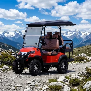 Independent suspension golf cart golf car buggy