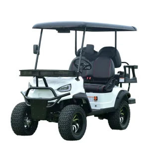 Innovative Clean Energy Electric Virtually Silent Operation Multi-Seater All-Purpose Golf Cart