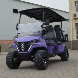 Intelligent Control Electric Golf Cart Street Legal 6 Seats Digital Display Screen Lithium Battery 30-50km/h