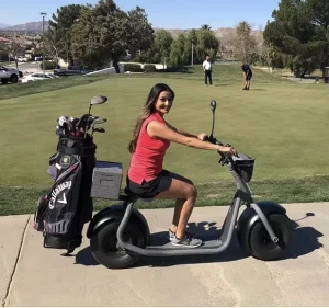 Intelligent GPS 2000W Electric Scooter with Golf Holder and Trolley Foldable Waterproof