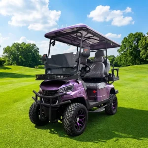 LEIBIN 4 Seater Purple Electric 4WD Golf Cart 30km/h 90km Range High Passability Off Road Buggy Anti Slip Tires 25 Grade
