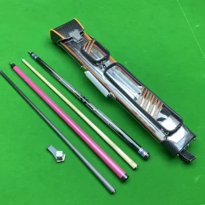 LIZARD Interpretation Waterproof Pool Cue Container 6 Hole 1 2 Cue Case Carry Bag with Different Accessory Pockets