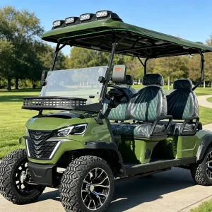 LSV DOT Kit Street Legal American 4 Seat Electric Golf Cart for USA Community