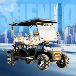 LSV Golf Cart for Eco friendly Transport
