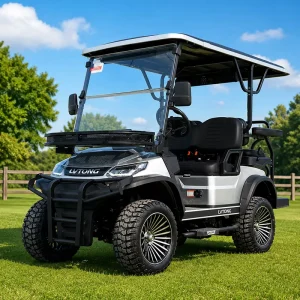 LVTONG Luxury Golf Cart Lithium Battery 48V Utility Vehicle Sightseeing Car 4 Seater Electric Golf Buggy