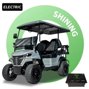 Lifted 4 Passenger Golf Car Brand Hunting Buggy New 4 Wheel Electric Club Car Golf Cart for Sale