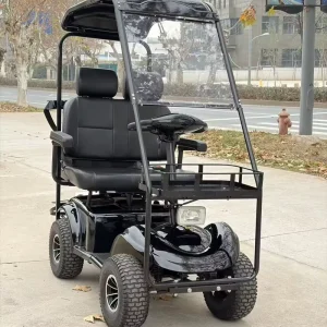 Lightweight Aluminum 2 Seater Electric Golf Cart and Mobility Scooter for Neighborhood and Leisure Travel