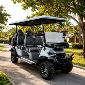 Lightweight Electric Golf Cart 2 Seater Compact Buggy Portable and Easy to Transport for Events